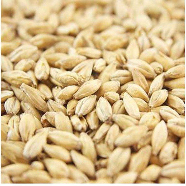 Joe White Pale Ale Malt 100 g