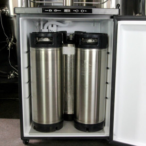Stainless Steel Door Kegerator Double S.Steel Tap