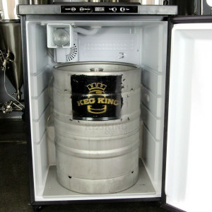 Stainless Steel Door Kegerator Double S.Steel Tap
