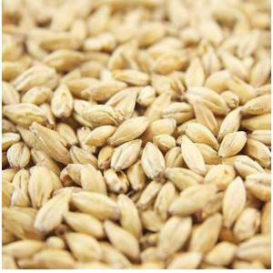 Joe White Pale Ale Malt 100 g