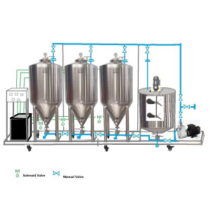 Temperature Controlled 3 x 150L Fermenter with Mixer in Skid