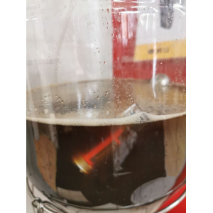 TITL WIRELESS HYDROMETER