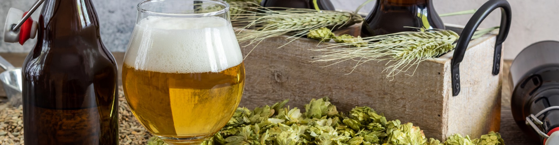 beer-brewing-banner